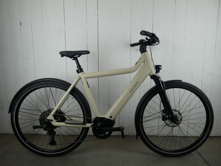 Riese & Müller E-bike - Culture