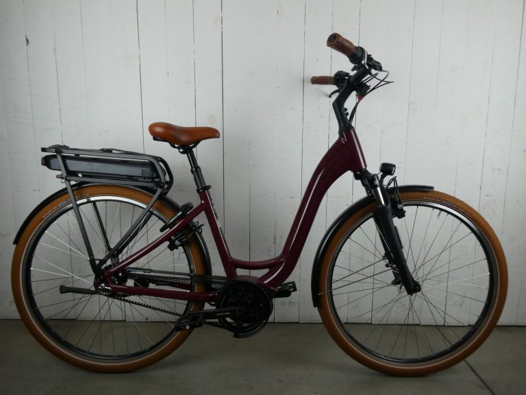Riese & Müller E-bike - Swing