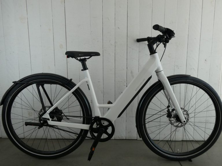Riese & Müller E-bike - UBN 6